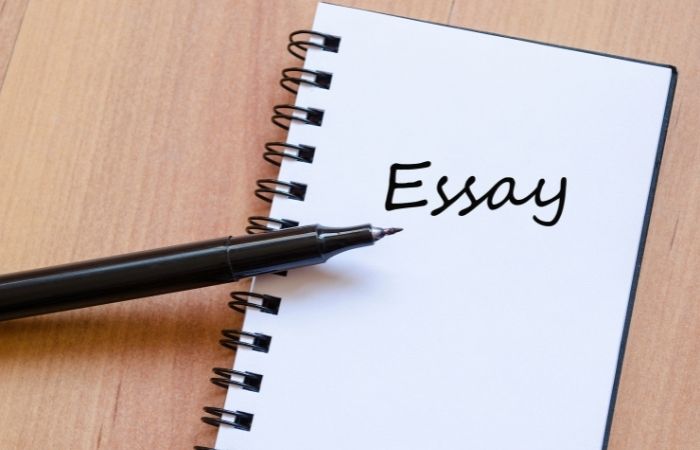 Guide On Writing Essays For College Students