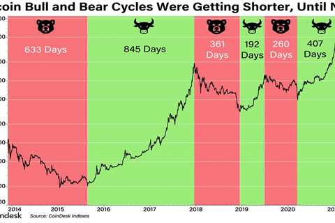 What to Expect From a Bear Market