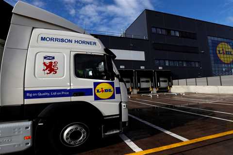 Lidl records shock £75.9million loss despite sales jumping by 18.8 per cent