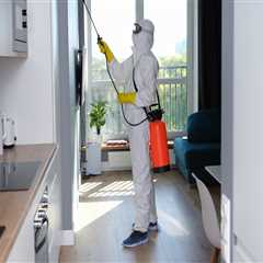 Bed Bug Control In Manhattan: Essential Home Selling Tips To Attract Buyers