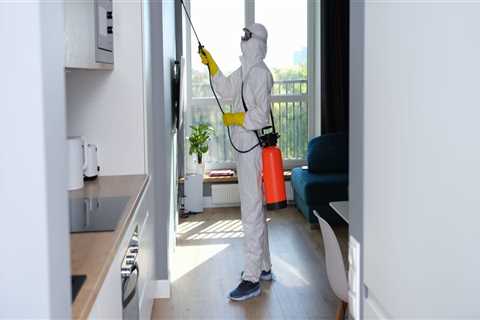 Bed Bug Control In Manhattan: Essential Home Selling Tips To Attract Buyers