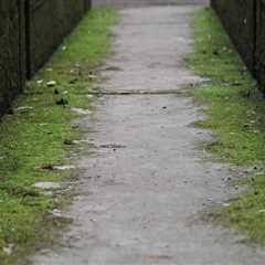 Boost Houston Home Appeal with Water Damage Cleanup