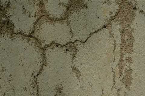 Maximize House Flipping Success with Expert Restoration