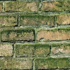 Mold Remediation: Essential for Flipping Houses in Utah