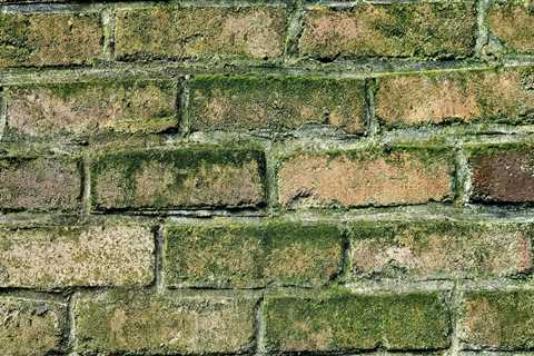 Mold Remediation: Essential for Flipping Houses in Utah