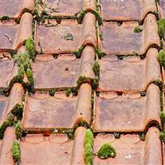 Flipping Houses Made Easy with Professional Roofing Services in Clinton Township