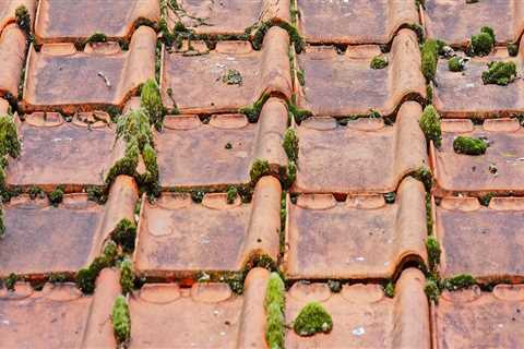 Flipping Houses Made Easy with Professional Roofing Services in Clinton Township